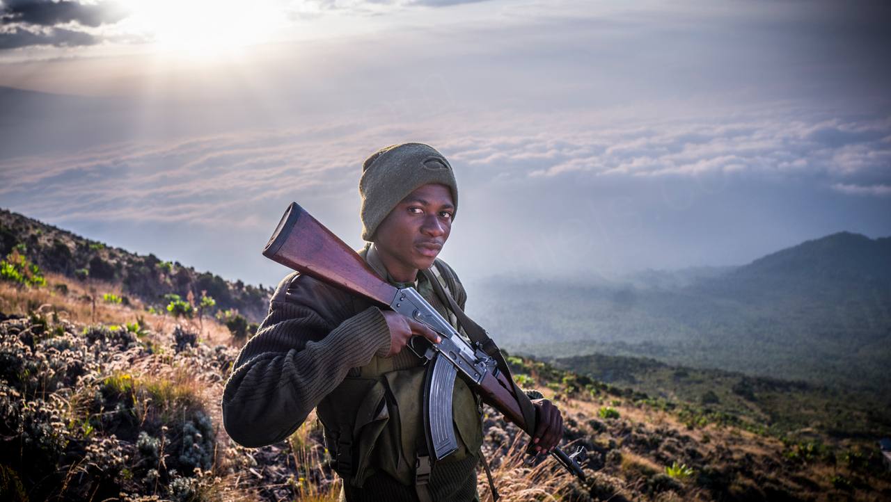 Virunga, DR Congo